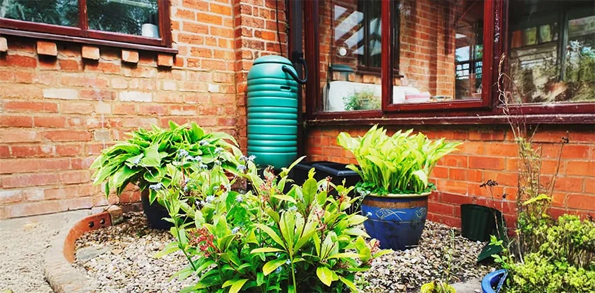 estetyczny zbiornik na deszcz&oacute;wkę w ogrodzie