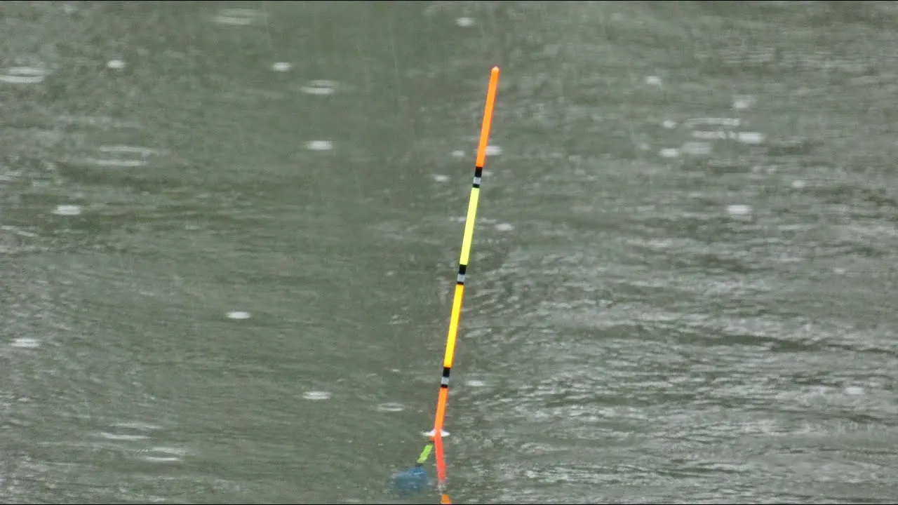 Wędka na amura spławik