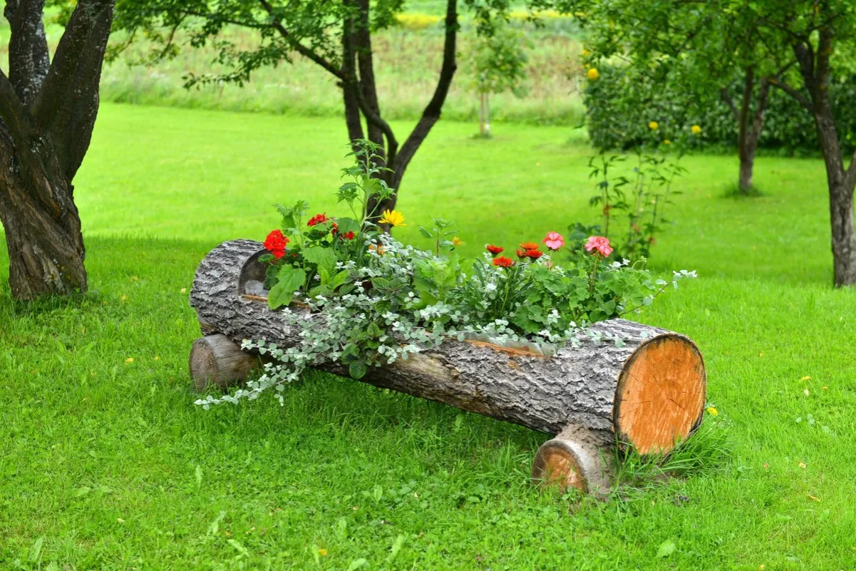 kwietnik z pnia drzewa r&oacute;żne gatunki drewna