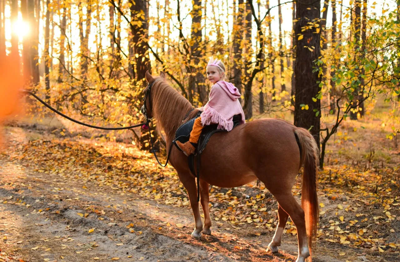 Jazda konna w Warszawie, relaks na koniu