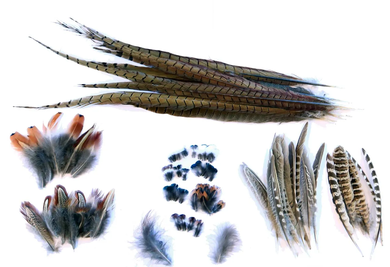 różne rodzaje piór do biżuterii