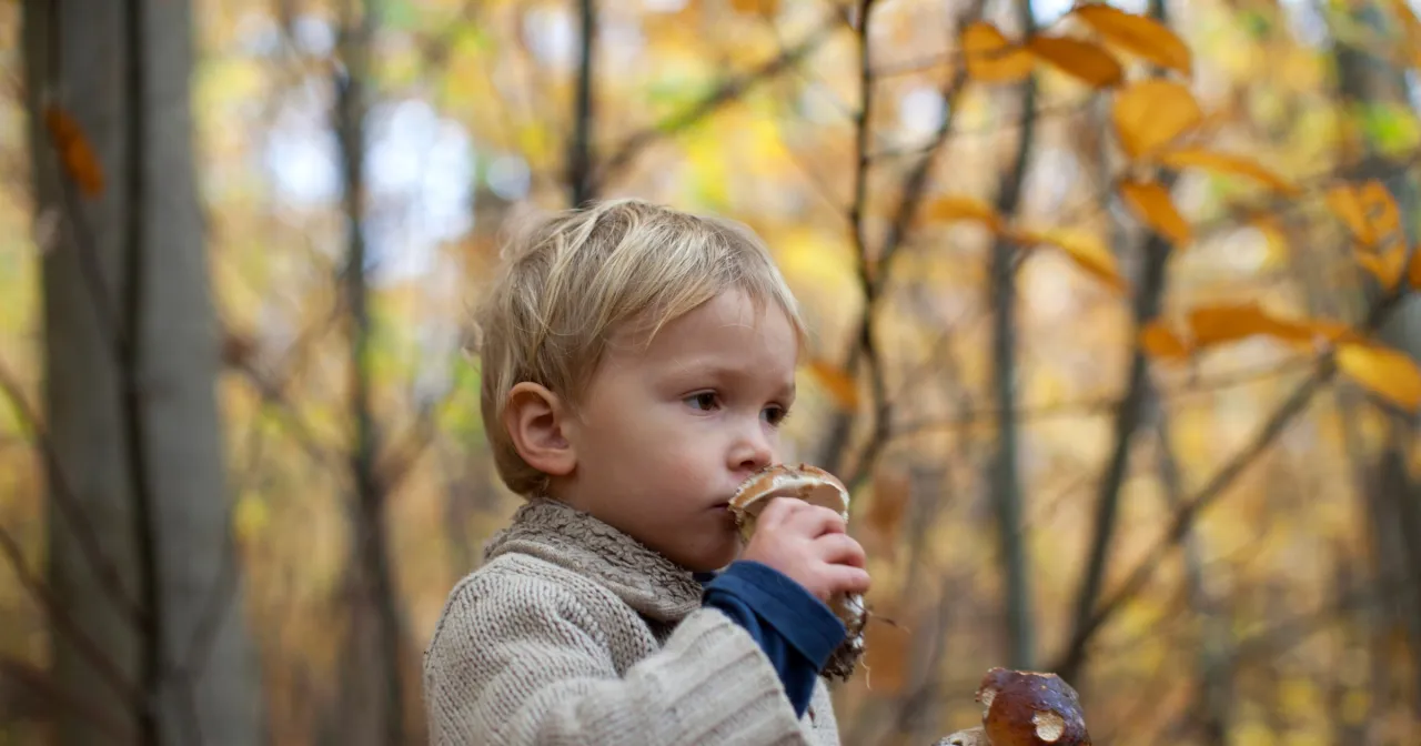 rodzic karmiący dziecko pieczarkami