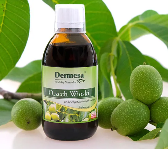 zielone orzechy włoskie na nalewkę, zbiór orzechów