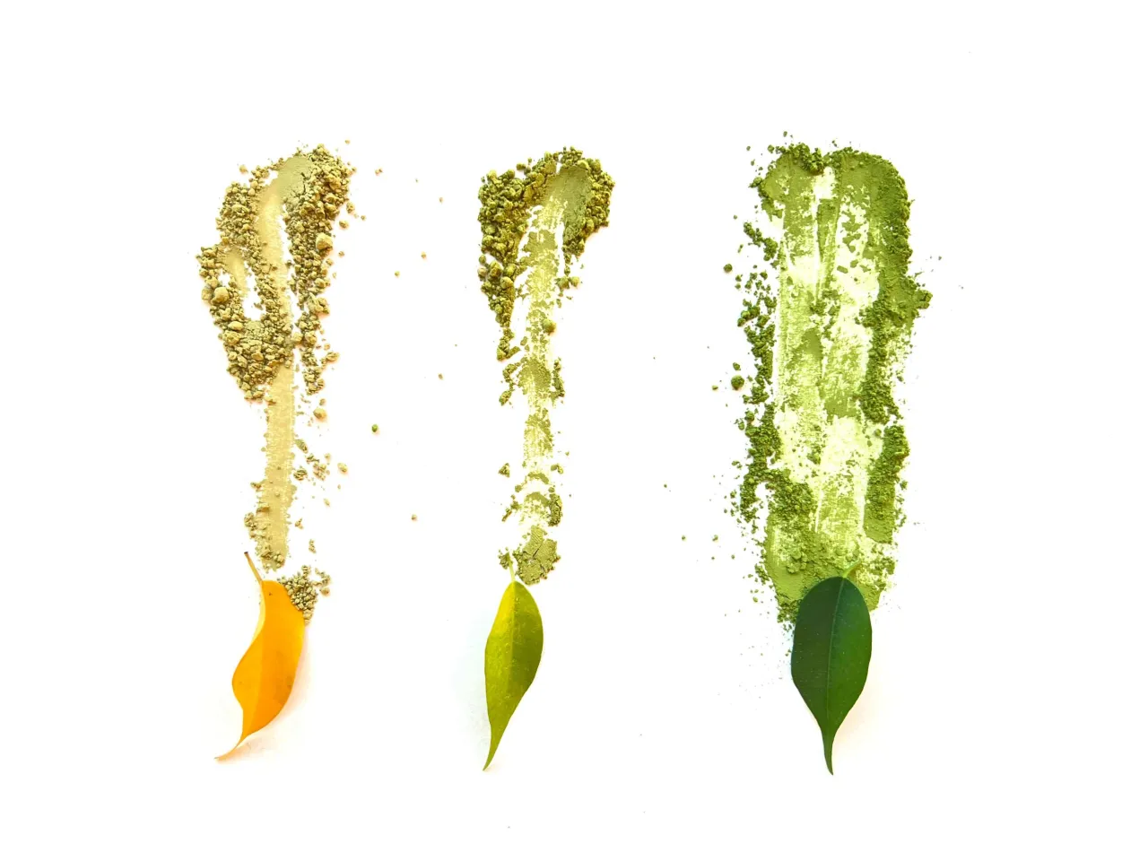 Matcha dobra jakość vs zła jakość kolor porównanie