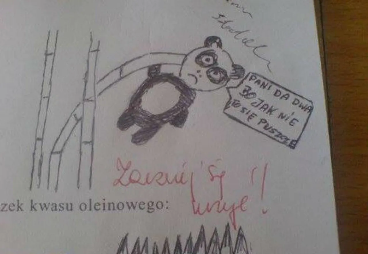 Przykłady podpisanych zeszytów szkolnych