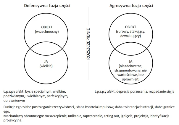narcyzm wielkościowy a wrażliwy diagram