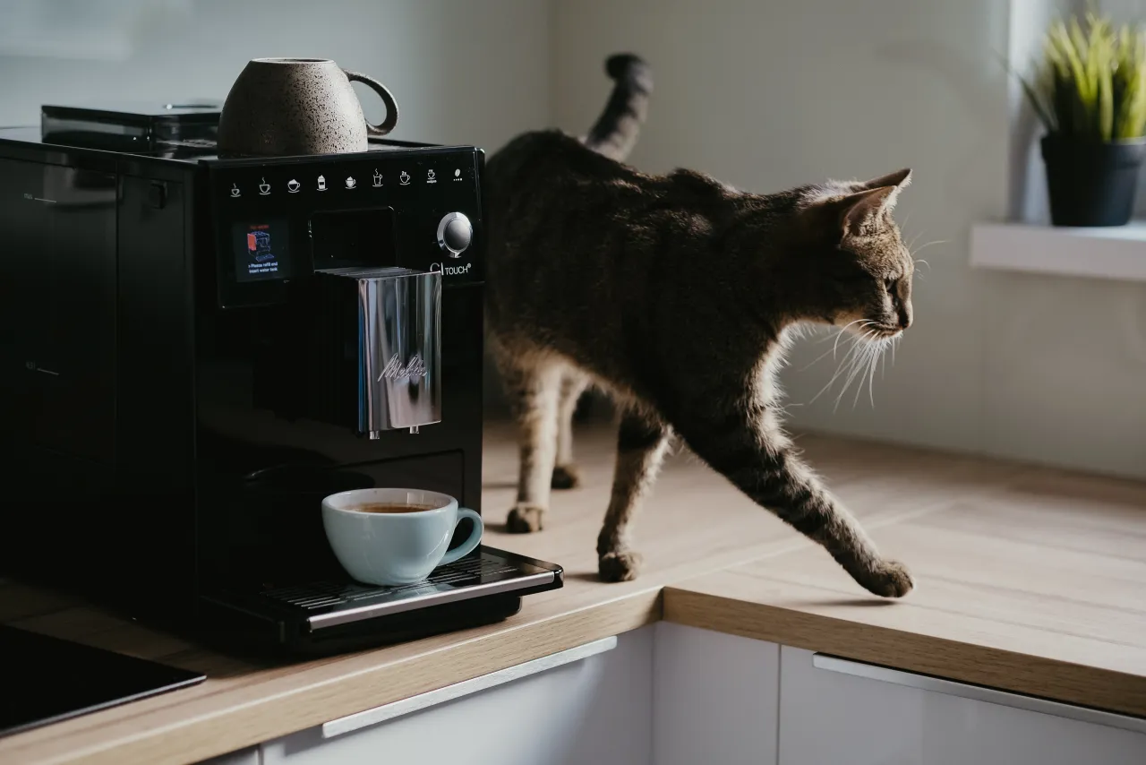 ekspresy do kawy rodzaje i zużycie prądu