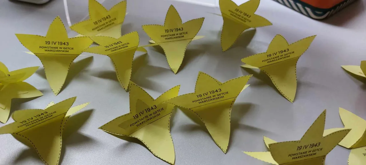 Żółte papierowe żonkile, symbolizujące pamięć o Powstaniu w Getcie Warszawskim 19 IV 1943, ułożone na szarym tle.