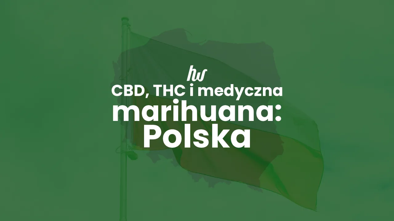 Molekuła THC, struktura chemiczna tetrahydrokannabinolu