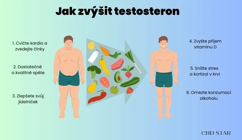 Zdjęcie Jaki testosteron na odchudzanie? Odkryj skuteczne metody na redukcję wagi