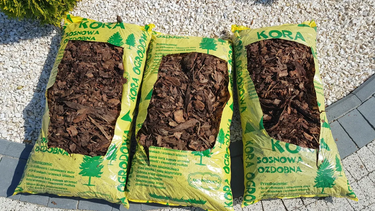 Zdjęcie Najlepsza kora pod tuje szmaragdowe - uniknij błędów w pielęgnacji