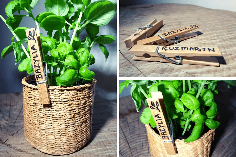 znaczniki do ziół z korków