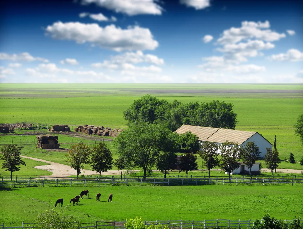 por&oacute;wnanie działka siedliskowa budowlana