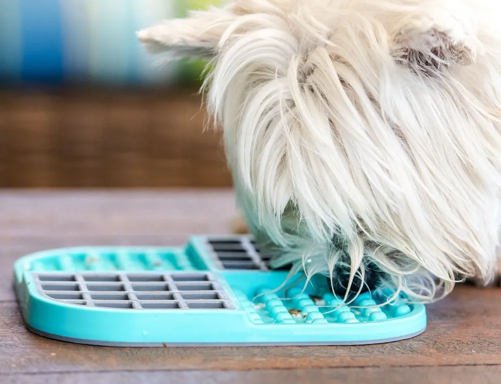 pies liżący matę uspokojenie