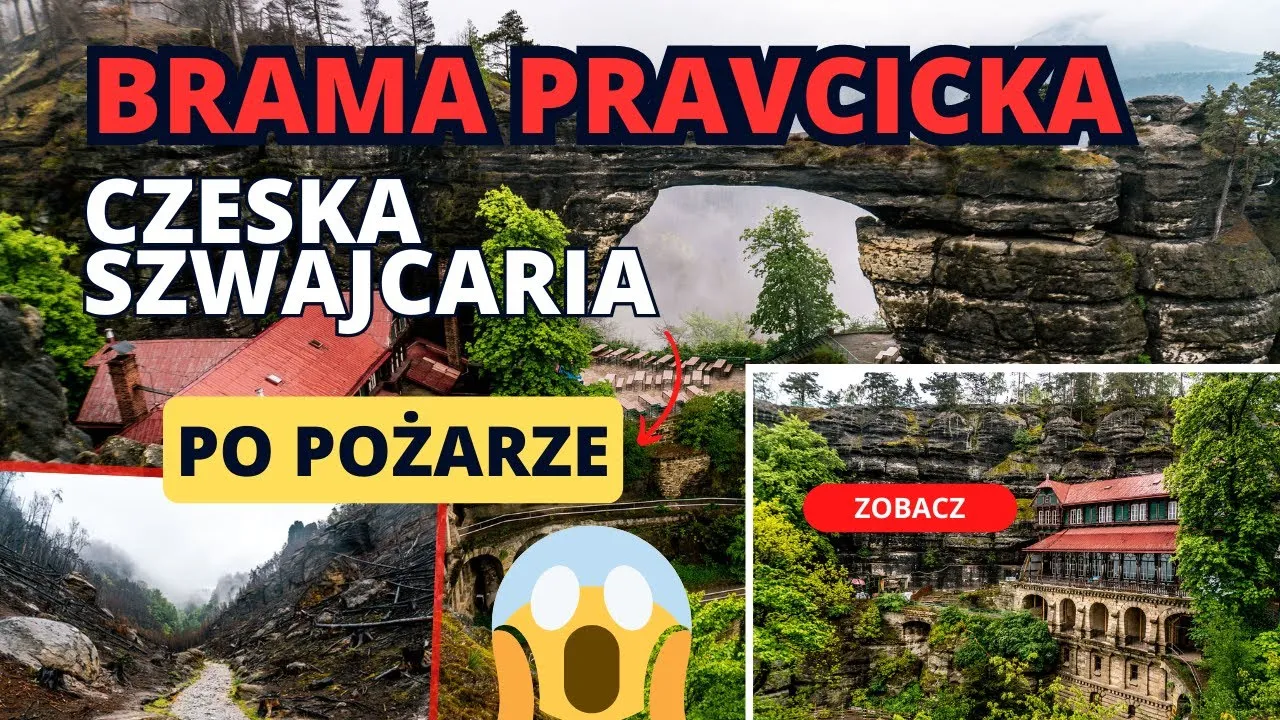 Czeska Szwajcaria po pożarze odrodzenie lasu