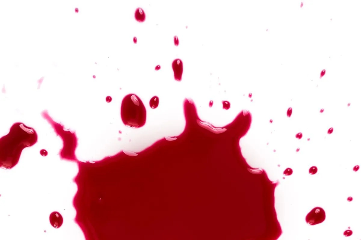 świeża plama krwi na kanapie i ręcznik papierowy