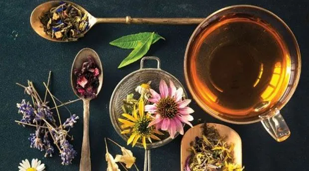 różne herbaty ziołowe detoks