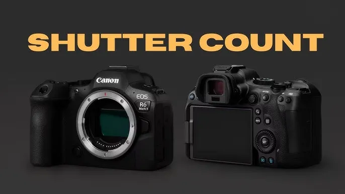 sprawdzanie przebiegu aparatu canon nikon sony