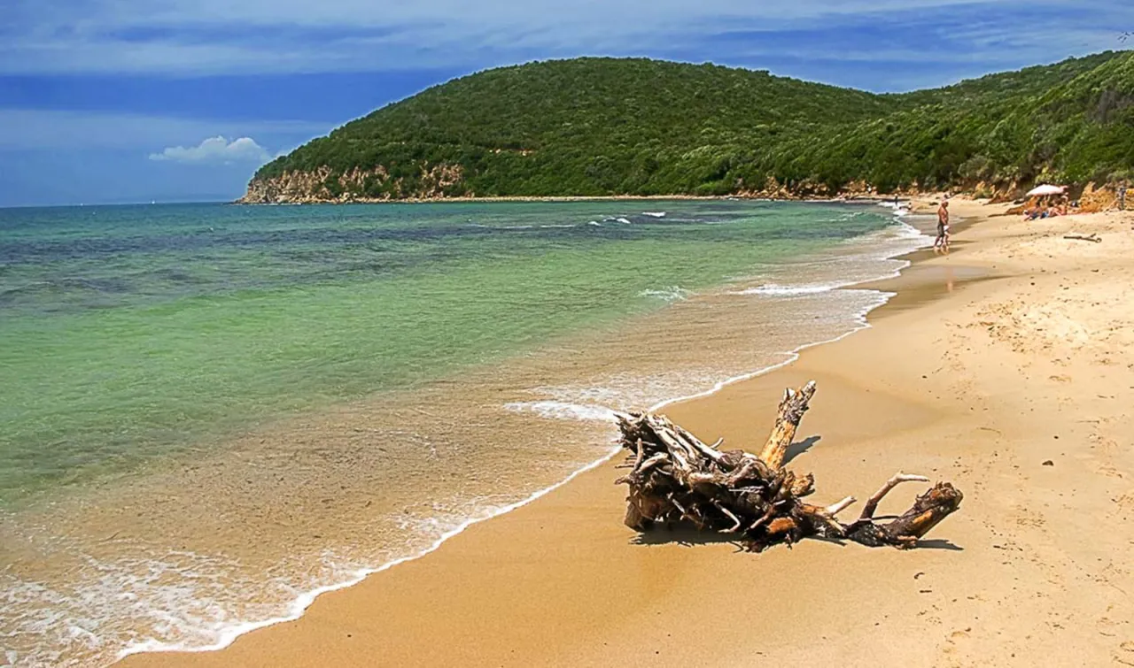 Cala Violina spiaggia Maremma