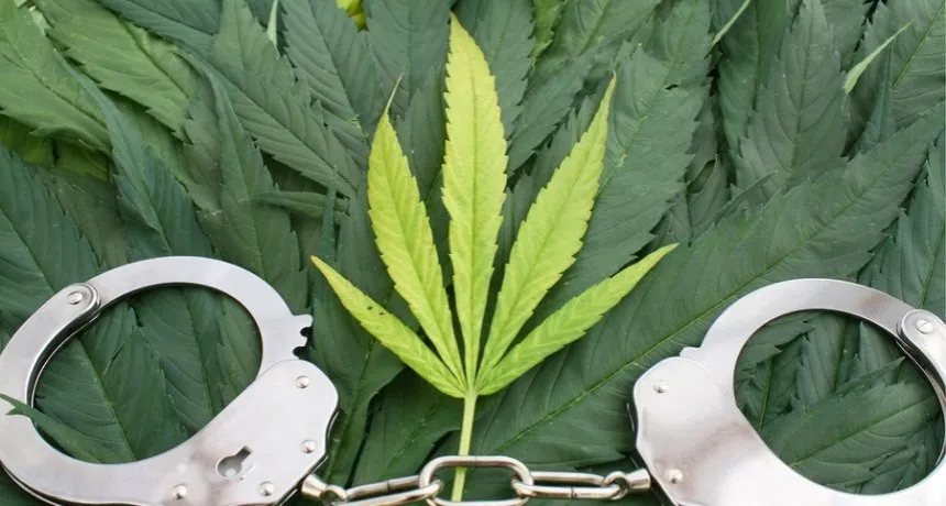 Konsekwencje prawne posiadania marihuany w Polsce