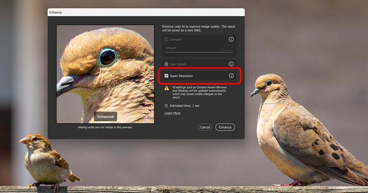 Adobe Camera Raw Super Resolution interfejs i efekt