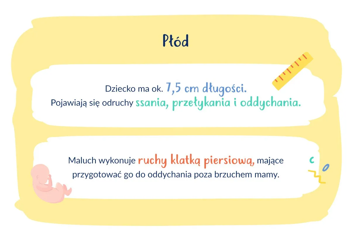 13 tydzień ciąży wielkość dziecka brzoskwinia