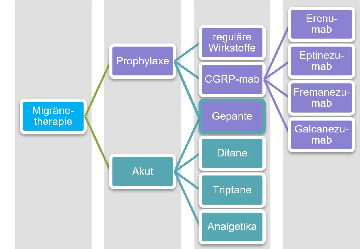 mechanizm działania gepant&oacute;w lub anty-CGRP grafika
