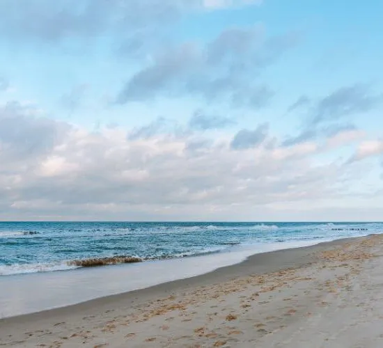 najlepsze plaże do zbierania muszli Bałtyk