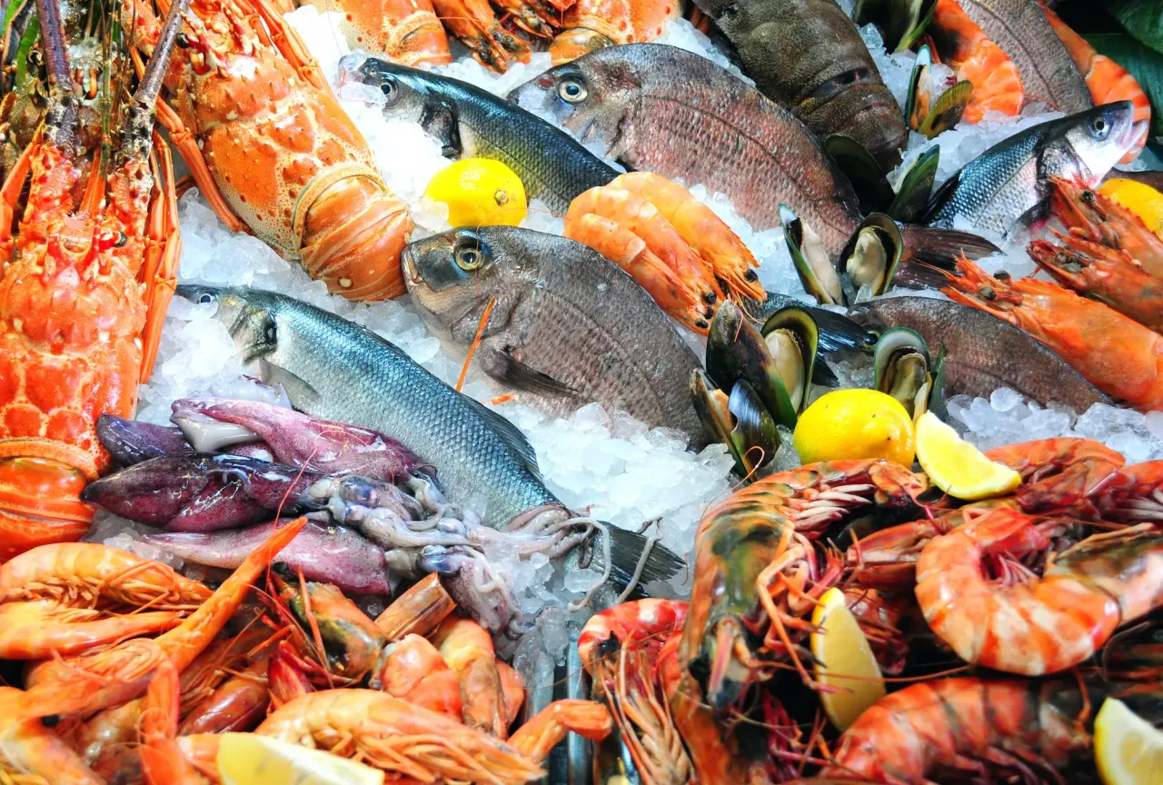 Mercato del pesce in Puglia o pesce fresco Adriatico Ionio