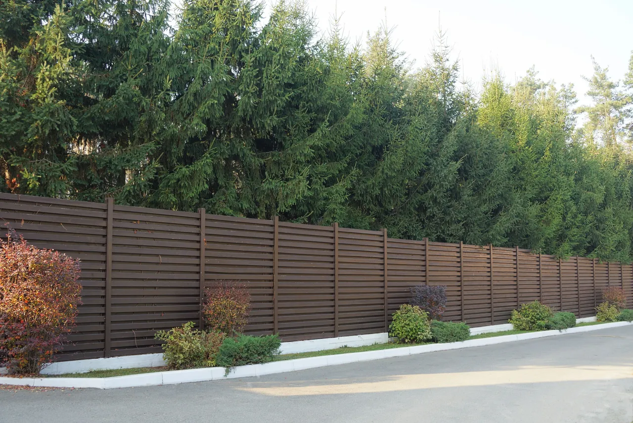 Zdjęcie Czym zasłonić płot? Oto sprawdzone sposoby na prywatność i estetykę