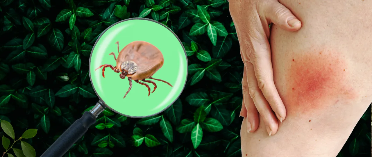 kontrowersje leczenie boreliozy ILADS