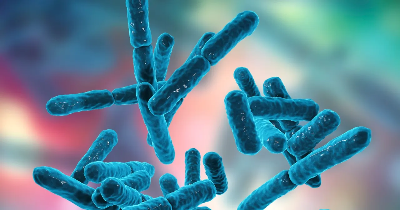 technologie probiotyków liofilizacja mikrokapsułkowanie