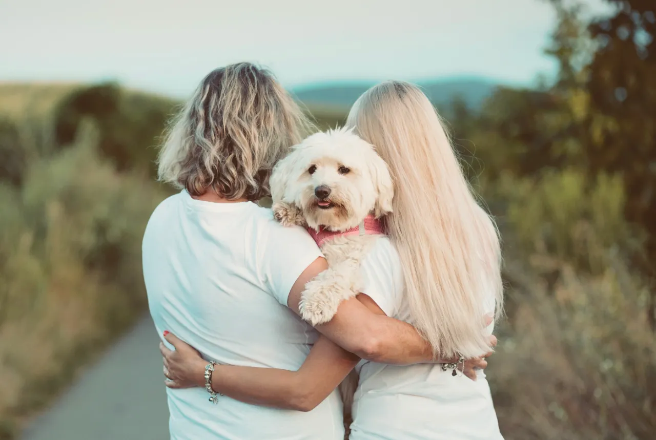 Wsparcie po stracie zwierzęcia