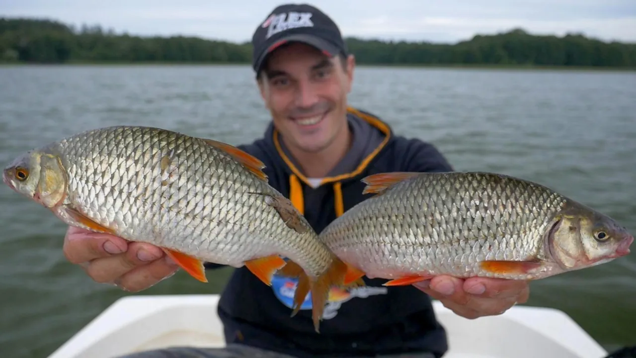 wędkarz łowiący płoć na jeziorze