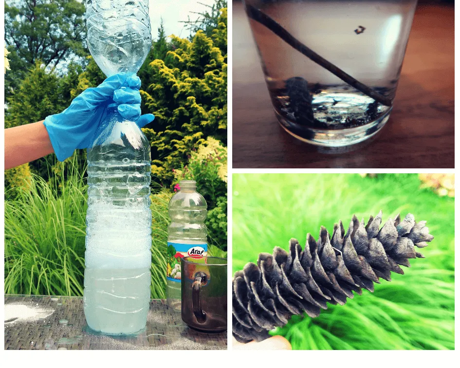 dziecko eksperyment z szyszką w wodzie