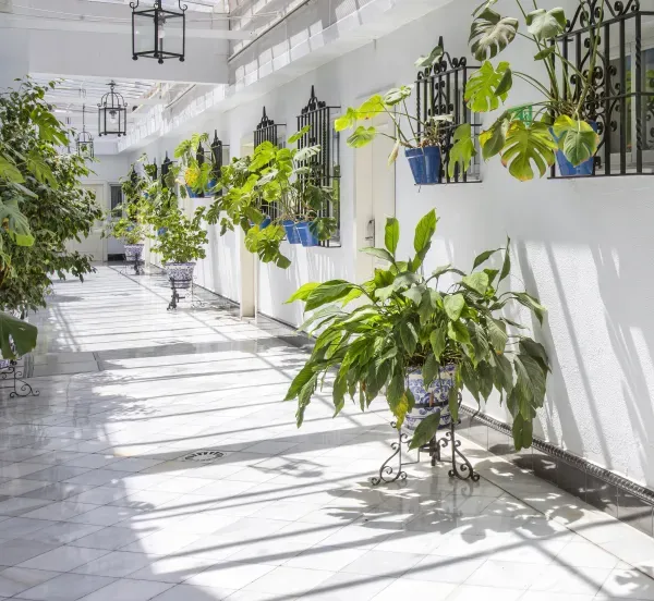 Zdjęcie Catalonia H&iacute;spalis Sevilla: &iquest;El hotel ideal para tu viaje?