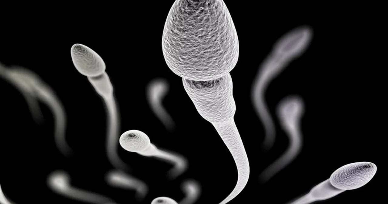 koszt badania nasienia cennik