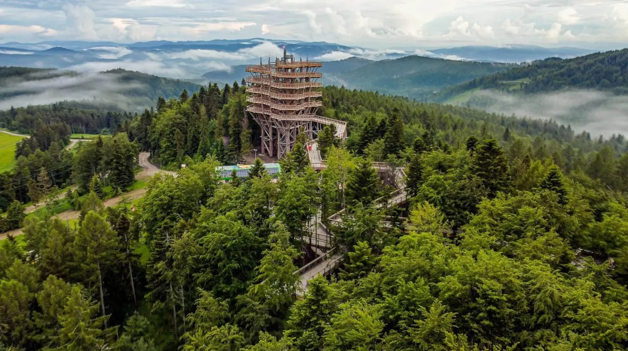 Wieża widokowa w Krynicy-Zdroju w koronach drzew