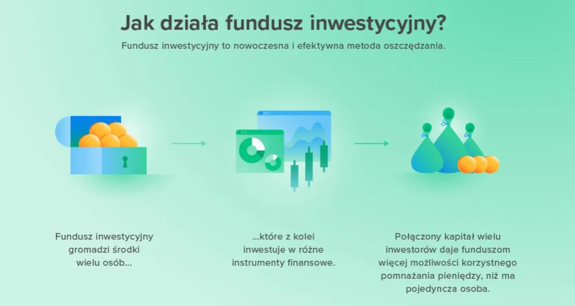 infografika rodzaje funduszy inwestycyjnych w Polsce