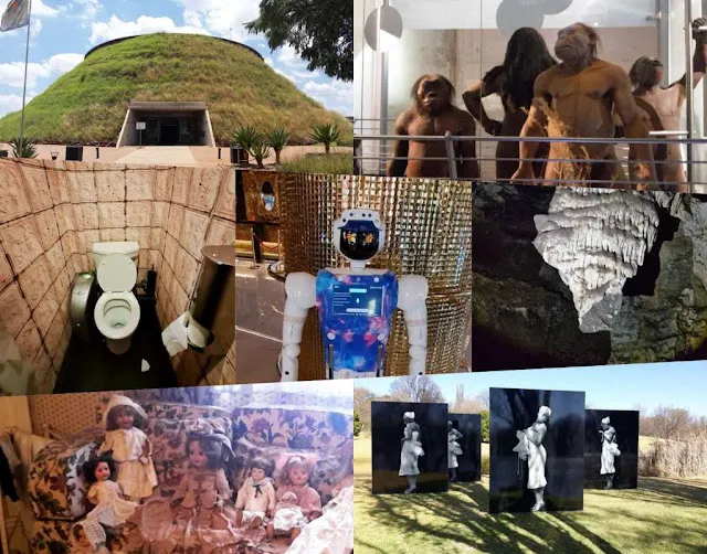 Johannesburg attractions collage