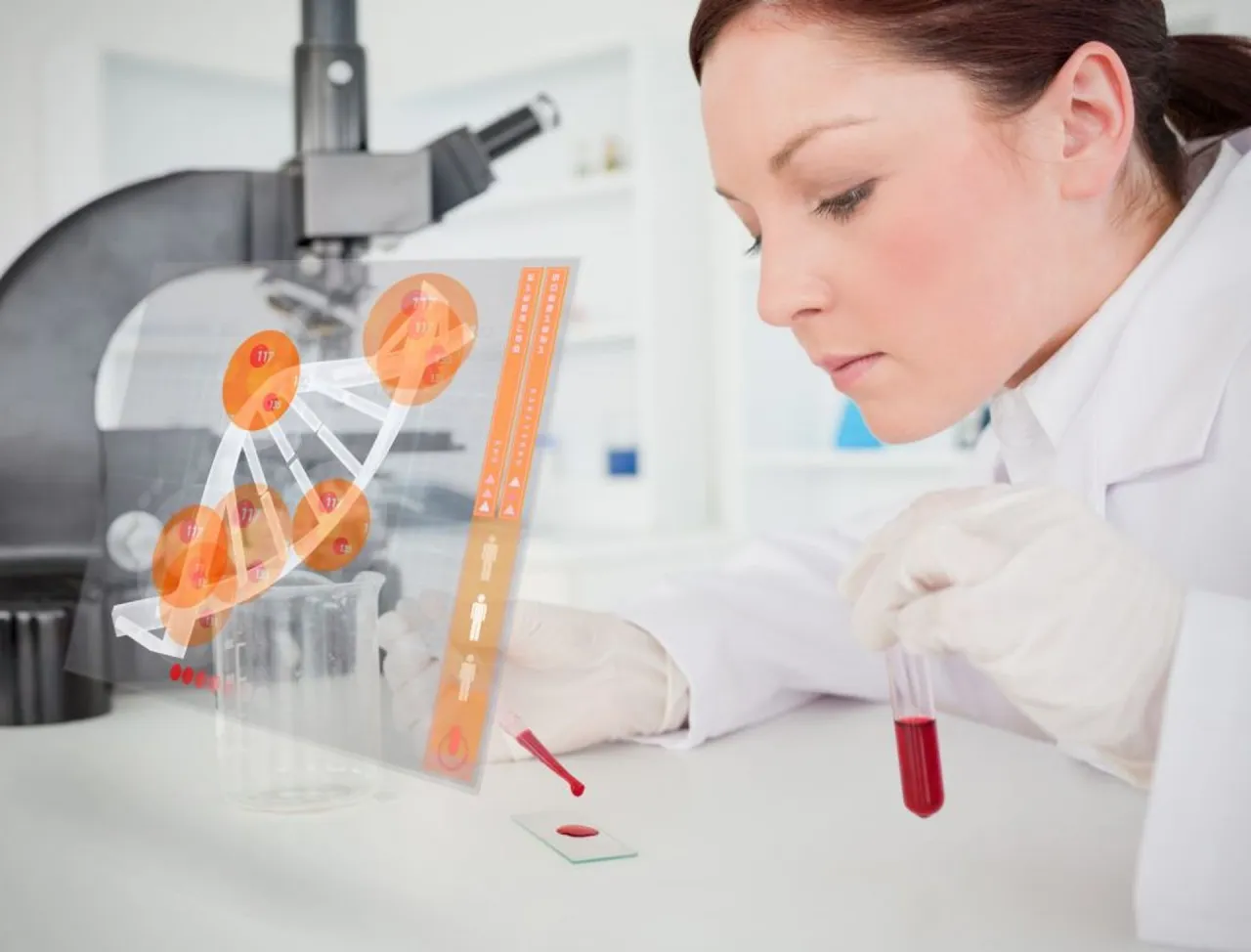 rozmaz krwi rodzaje leukocyt&oacute;w diagram