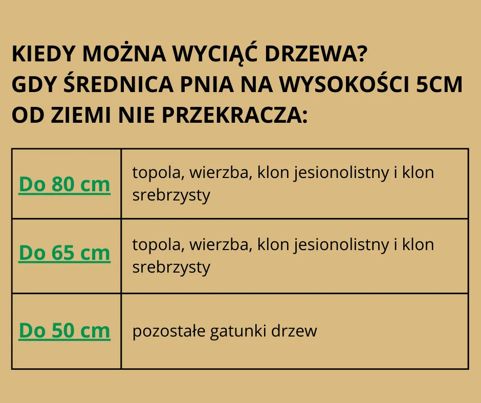 tabela obwodów drzew do wycinki bez zezwolenia