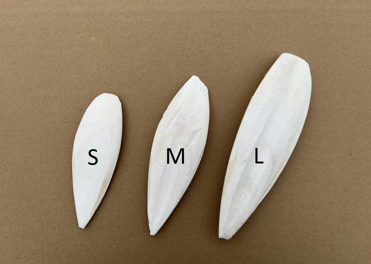 Porównanie sepii i kostki wapiennej dla ptaków