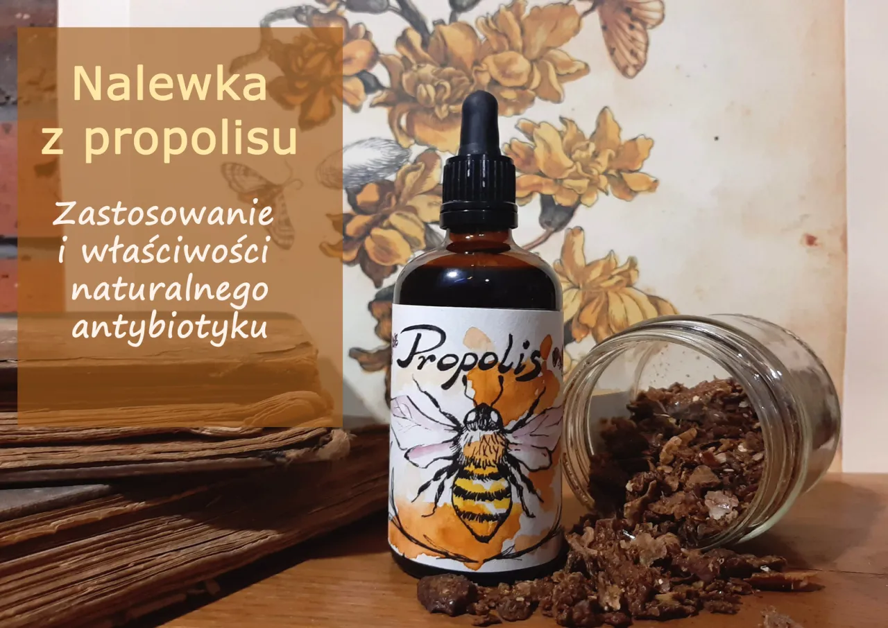 propolis nalewka butelka pszczoły