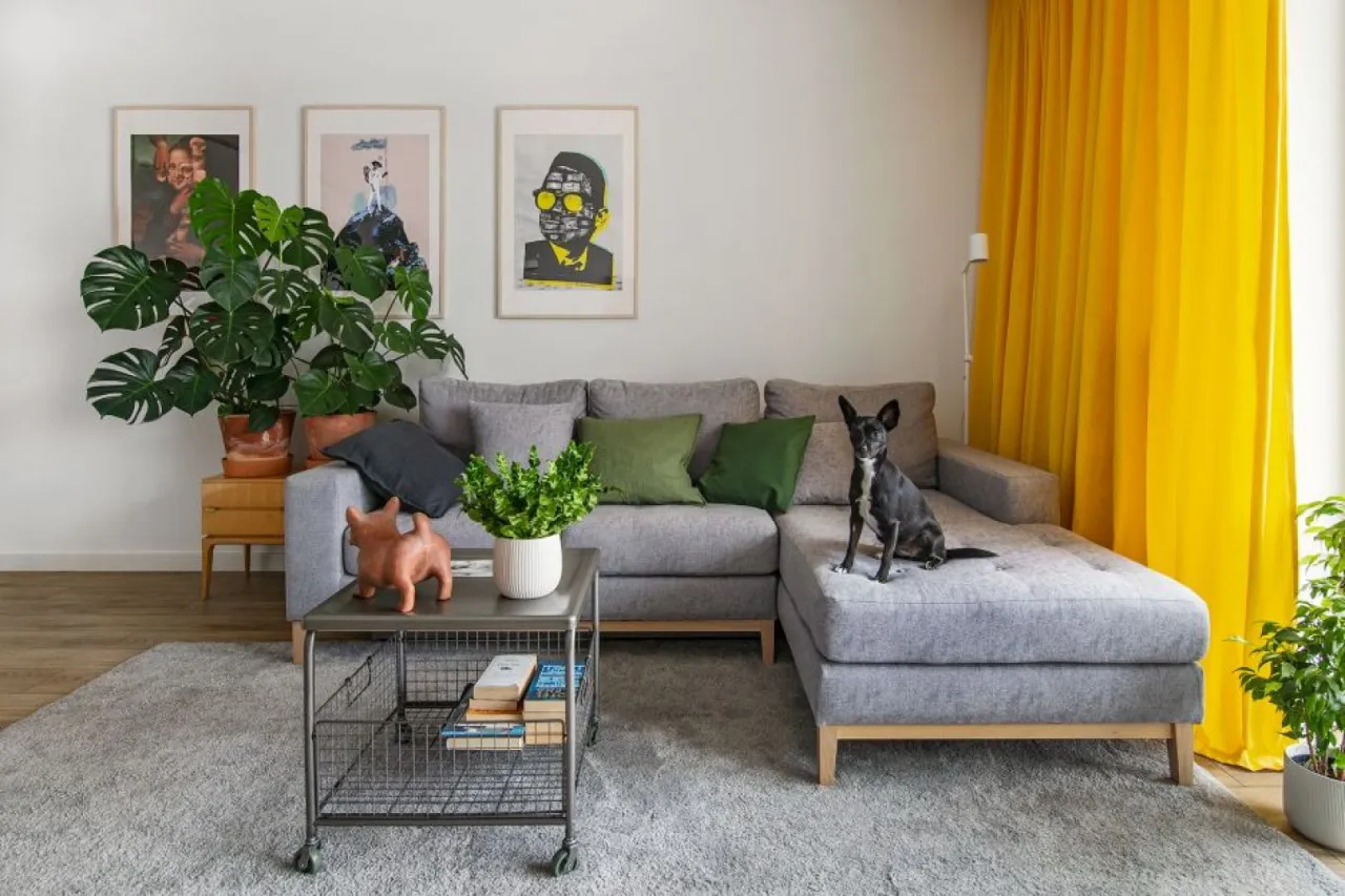 Szara kanapa z różnymi poduszkami inspiracje