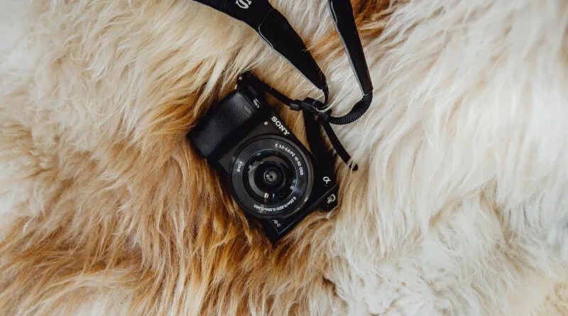 mały aparat bezlusterkowy w dłoni na tle krajobrazu