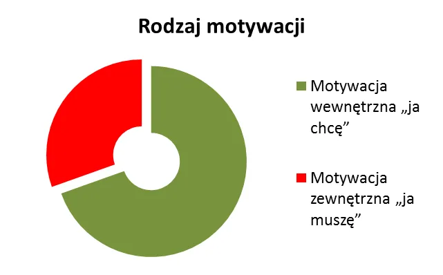 motywacja wewnętrzna vs zewnętrzna grafika