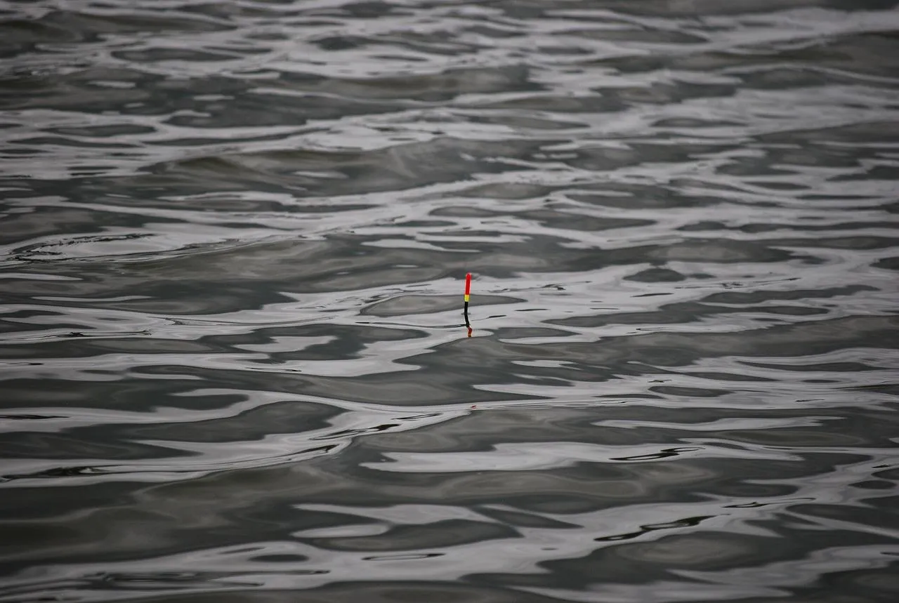 Spławik na falującej wodzie. Czy wędką spinningową można łowić na spławik? To pytanie zadaje sobie wielu wędkarzy.