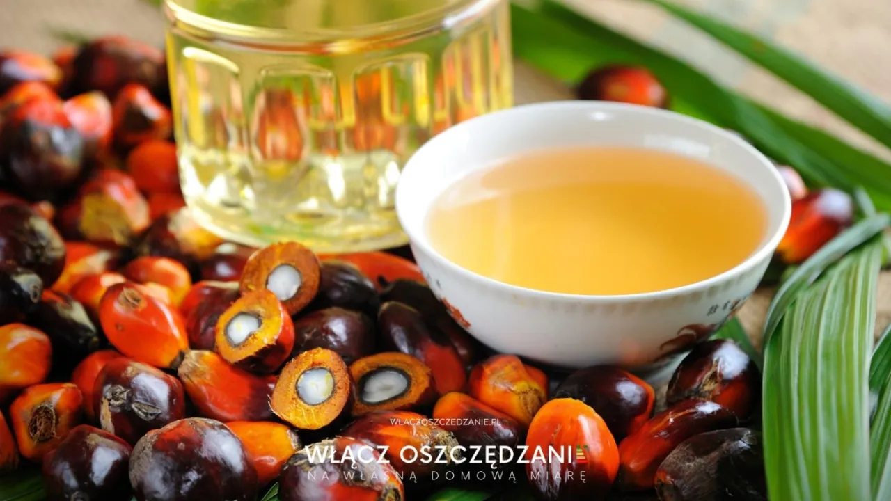 Zdjęcie Czy olej palmowy jest wegański? Poznaj kontrowersje i alternatywy