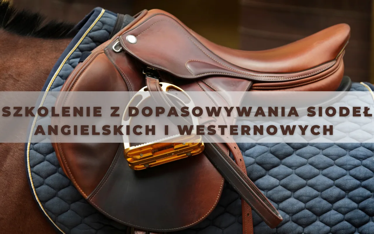 Anatomia grzbietu konia i prawidłowe położenie siodła